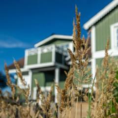 20230906-vare-4_ELJ8309_webb-1200px