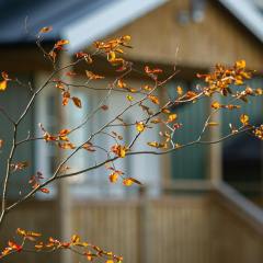 20230906-vare-4_ELJ8420_webb-1200px-min