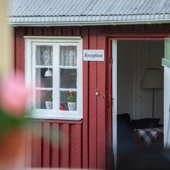 20230906-vare-4_ELJ8424_webb-1200px